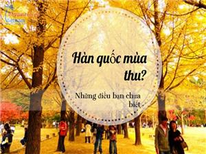 Đi du lịch Hàn Quốc mùa nào đẹp nhất trong năm?